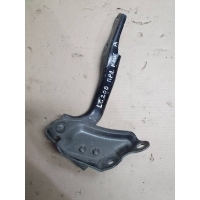 Петля капота Toyota Land Cruiser 200 5341060060