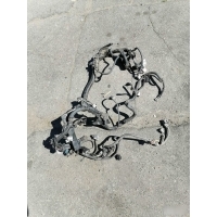 Проводка двигателя Toyota RAV4 CA30 8212142B61, 8212142B61, 82121-42B61