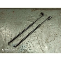 Амортизатор капота Toyota Land Cruiser 300 53440-0W390, 534400W390