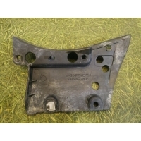 Брызговик Lexus NX AGZ15 2020 5389678011, 53896-78011