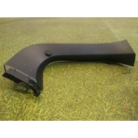 Обшивка двери багажника Lexus NX AGZ15 2020 6793878011, 67938-78011