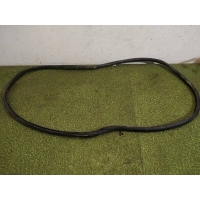 Уплотнитель проема двери Volkswagen Passat b7 2013 3C4867911C, 3C4867911C5AP
