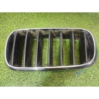 Решетка радиатора BMW X5 F15 2013-2018 51137316053, 7316053