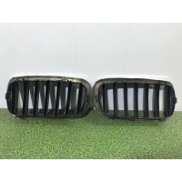 Решетка радиатора BMW X5 F15 2013-2018 7316075, 7316076