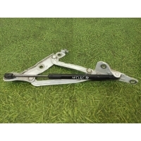Петля крышки багажника Ford Mondeo 4 MK4 2007-2015 7S71F42700, 1484729, 1508075