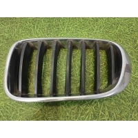 Решетка радиатора BMW X3 F25 2010-2014 7210725, 51117210725