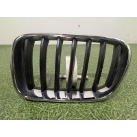 Решетка радиатора BMW X3 F25 2010-2017 51117210725, 7210725