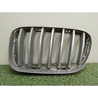 Решетка радиатора BMW X3 F25 2010-2019 51117210725, 7210725, 51117237421