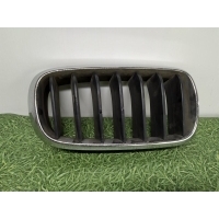 Решетка радиатора BMW X5 F15 2013-2019 51137316054, 7316054