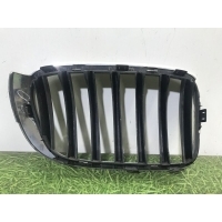 Решетка радиатора BMW X3 F25 2010-2017 51117338571