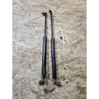 Амортизатор капота Toyota Land Cruiser 100 2001 5344069025, 5345069025