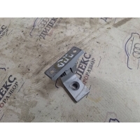 петля двери BMW X5 E70 2007-2013 2007 41517176848