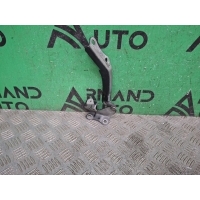 петля капота Toyota Camry 8 XV70 2017-нв 5342033301, 2