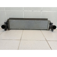 Интеркулер Exeed TXL 302000507AA
