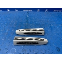 молдинг крыла Mercedes-benz CLK 180 W209 2006 A2096902162, A2096902262