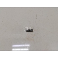 Толкатель клапана гидравлический VAG C-MAX (2010 - 2019) 022109423D