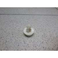 Крепеж Nissan Qashqai+2 (JJ10) (2008 - 2014) 0155307381