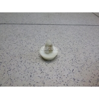 Крепеж Nissan Qashqai+2 (JJ10) (2008 - 2014) 0155307381