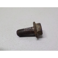 Болт суппорта Renault Kangoo 2008 7703002913