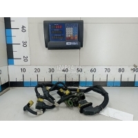 Проводка (коса) Renault TRUCK FH (2013 - 2019) 7421696138