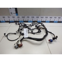 Проводка (коса) Citroen-Peugeot DS3 (2009 - 2015) 6585R8