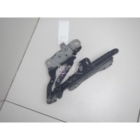 Петля капота левая BMW 3-serie F30/F31/F80 (2011 - 2020) 41617286343