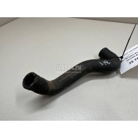 Шланг системы охлаждения Mercedes Benz A-Class W176 (2012 - 2018) 2465010458
