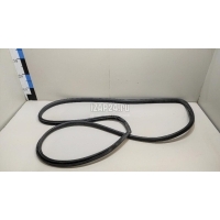 Уплотнитель двери Nissan Almera (G15) (2013 - 2018) 769214AA0B