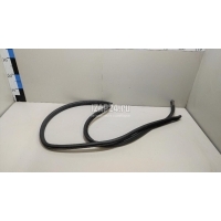 Уплотнитель двери Nissan Almera (G15) (2013 - 2018) 769234AA0B