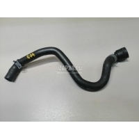 Шланг системы охлаждения VAG Golf VII (2012 - 2020) 5Q0122157DJ