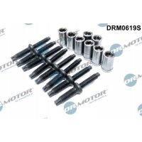 Dr.motor drm0619s болт , форсунки