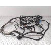 Проводка двигателя Ford Focus III (2011-2014) 2012 CV6T12A690UAF