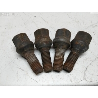 Болт колесный (гайка колесная) Renault Scenic I (1996-2003) 2003 8200030701