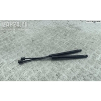 Амортизатор крышки (двери) багажника Volkswagen Passat B6 2008