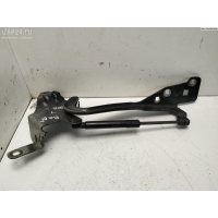 Петля капота левая Renault Scenic III (2009-2015) 2011 654010004R