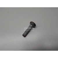 Болт BMW X5 F15/F85 (2013 - 2018) 31206783065