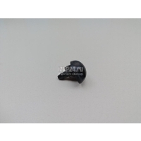 Форсунка омывателя лобового стекла Renault Sandero 2014 289308338R