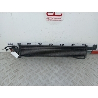 Радиатор масляный Hyundai Santa_Fe 2 (CM) (2005-2012) 2008 ,254602B100