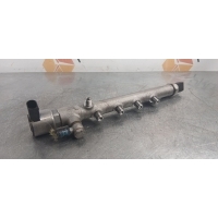 Топливная рампа Mercedes-Benz E-class W212 2013 A6510700495, A6510700495, A6510700700, A0095458126, A0005457180, A0005454984, A0095458026