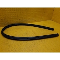 Уплотнитель двери Ford Transit TT9 2020 2516464, BK31V51401AF, BK31V51401FF