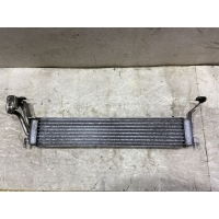 Масляный радиатор bmw X5 E53 N62B44 17217543348