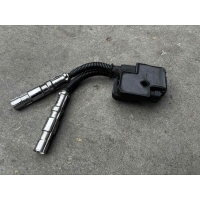 Катушка зажигания Mercedes S-klasse (W220) Рестайлинг 2002 - 2005 2003 A0001587803, 0001587803