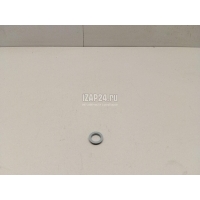 Кольцо уплотнительное датчика парковки VAG Q5 [80A] 2017 5Q0919133704