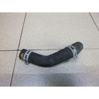 Патрубок Ford Transit 2014 2402065