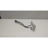 Петля капота левая Hyundai-Kia Optima IV 2016 79110D4010