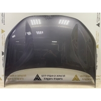 Капот Omoda C5 T19C 2022-2024 553000311AADYJ