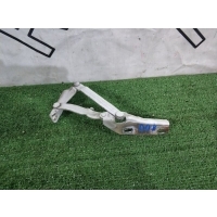 Петля капота Mercedes-Benz Sprinter W906 2009 9067500021