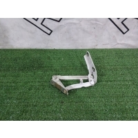 Петля капота Mercedes-Benz Sprinter W906 2009 9067500121