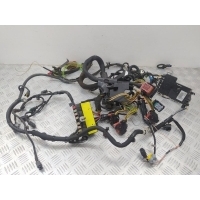Проводка двигателя Citroen C4 2009 759188680