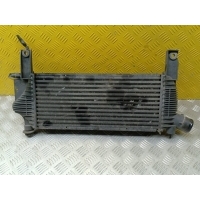 Интеркулер Nissan Pathfinder (R51M) 2004-2013 Внедорожник 2006 14461EB360